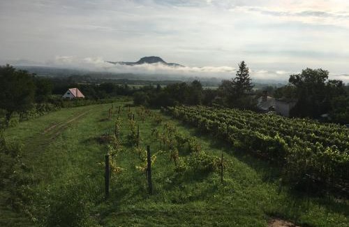 Kisapati House | Ágnes almái Ágnes apples