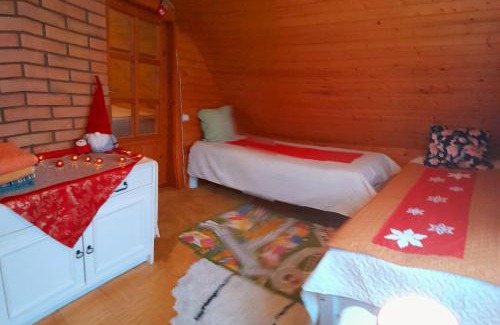 Tartu House | Öökulli öömaja