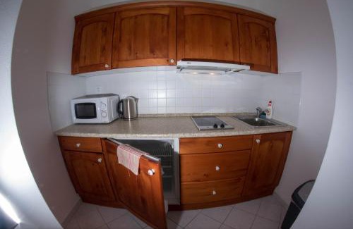 Harrachov Apartment | ČS RoBiN OIL Harrachov
