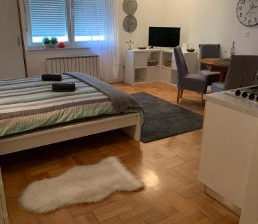 Zagreb Apartment | Šarmantni apartman Malecka 2