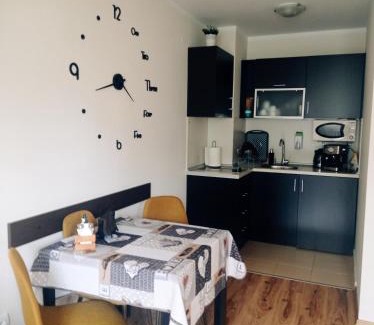 Borovets Apartment | Апартамент С-59 в Апарт-хотел Боровец Гардънс