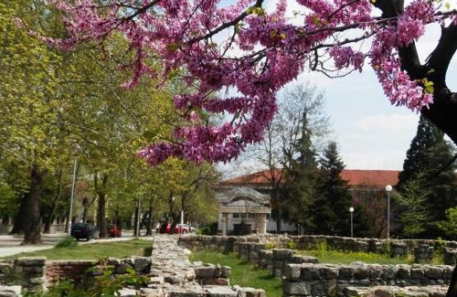 Hisarja Apartment | Апартамент 13