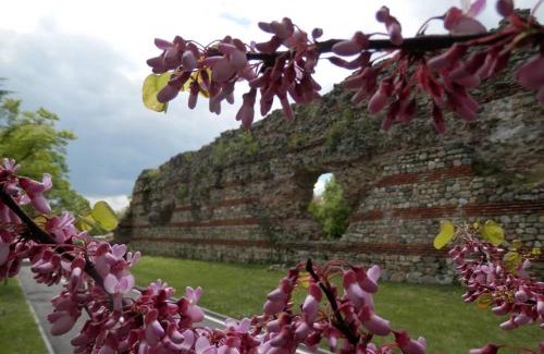 Hisarja Apartment | Апартамент 13