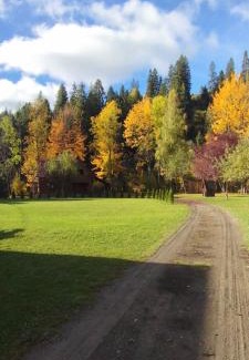 Pilipets Villa | Біля річки