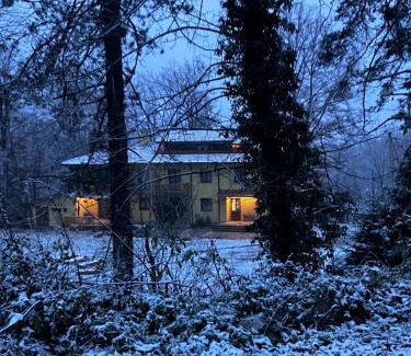 Kostenets Villa | Вила Ренесанс Костенец