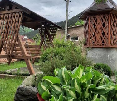 Snidavka House | Карпатія