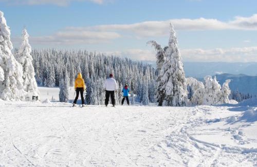 Pamporovo Apartment | Костадинов 2