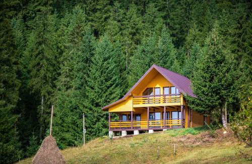 Verkhovyna Apartment | Котедж Forest house
