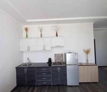 Issyk-Kul Region Apartment | Коттедж в ЦО Париж-2