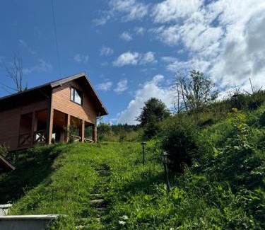 Oryavchyk Cabin | Садиба Сімейний Затишок