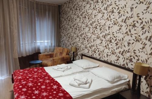 Borovets Hotel | Студио в Хотел Айсберг