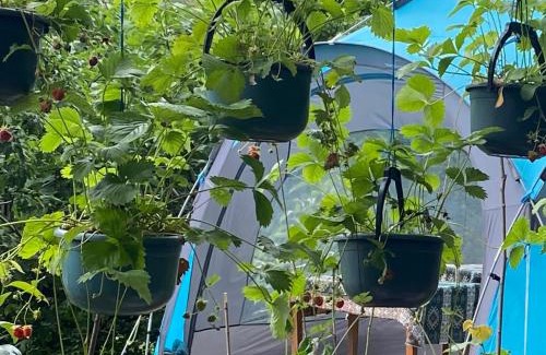 Armenia Other | Тереза кемпинг