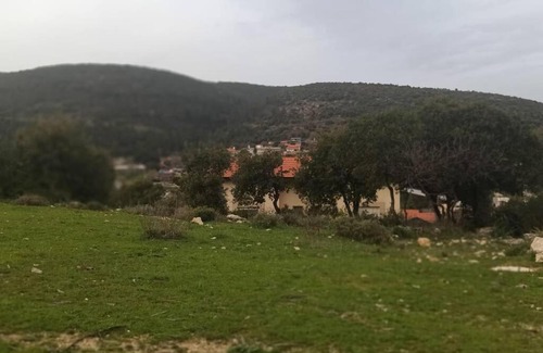 Shefer Apartment | יחידת אירוח קסומה בקצה היער