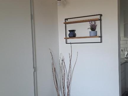 Gan Ner Bed & Breakfast | כוכב הגילבוע
