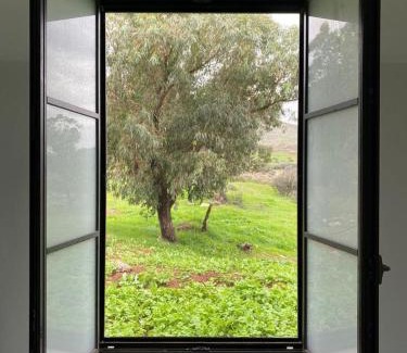Gidona Villa | לבנדר בגלבוע בריכה מחוממת 4 חדרי שינה