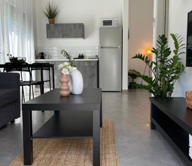 Snir Apartment | סוויטת מול הבניאס