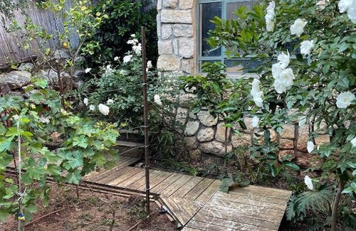 Mitzpe Hila Bed & Breakfast | פינה ירוקה בגליל