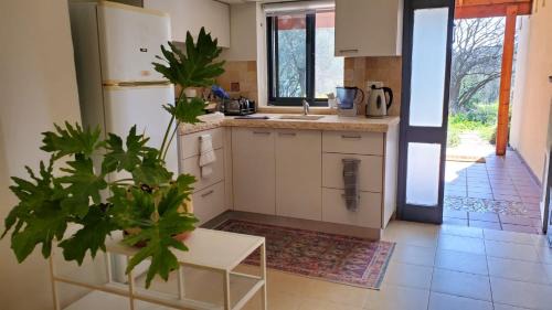 Rosh Pinna Apartment | פינה ללב