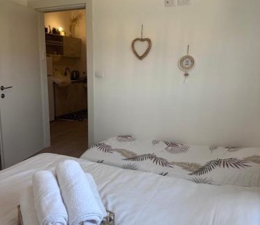 HaGoshrim Apartment | צימר יערת הדבש