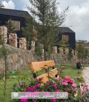 'Asir Cabin | أكواخ الصنوبر