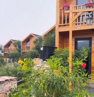 'Asir Cabin | أكواخ الصنوبر