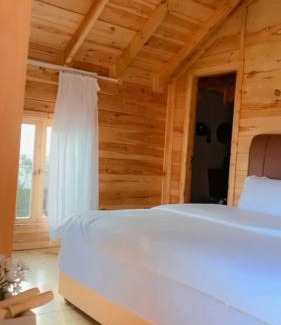 'Asir Cabin | أكواخ الصنوبر