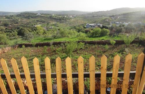 Ajloun Governorate Apartment | اكواخ الملول عجلون