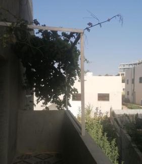 Ajloun Governorate Apartment | الاردن عجلون رأس منيف