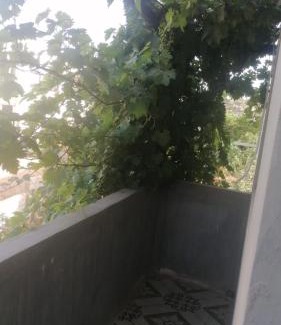 Ajloun Governorate Apartment | الاردن عجلون رأس منيف