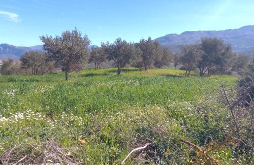 Tetouan House | دار الضيافه امال