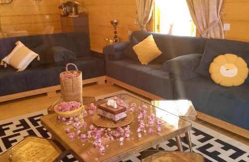 Taif Ski Chalet | ستراود