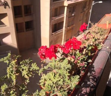 Al-Khalifa Apartment | شقة كمبوند سما القاهرة