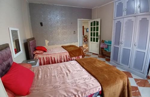 Al-Basatin Apartment | شقة مفروشة خلف هيلتون المعادي ومستشفىالسلام وجنين