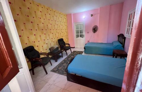 Mansoura Apartment | شقه حديثه في وسط المنصوره بالقرب من الجامعه ١٧٥ متر