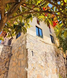 Ajloun Apartment | عجلون - ajloun اشتفينا -9