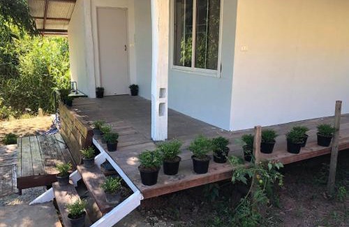 Bo Kluea Other | บ้านปลายดอย สะปัน