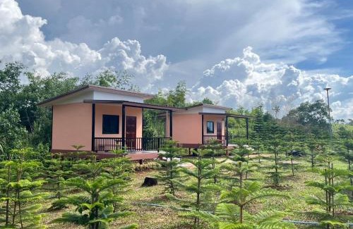 Khao Kho House | บ้านสวนหมอกเขาค้อ b2