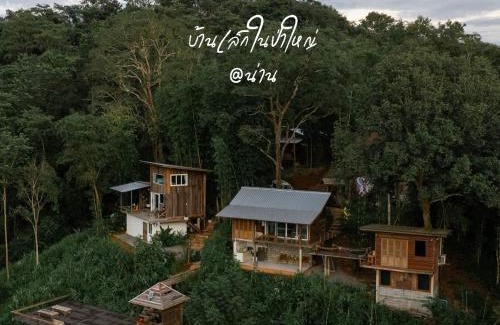 Nan Resort | บ้านเล็กในป่าใหญ่ at น่าน Little House In the Forest at Nan