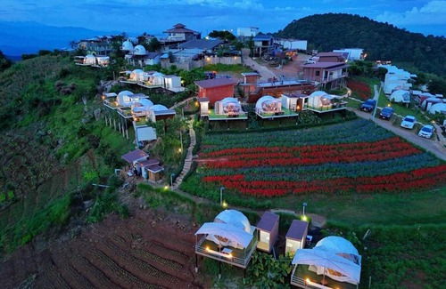 Mae Rim Other | ป๋ายดอย ม่อนแจ่ม