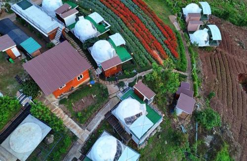 Mae Rim Other | ป๋ายดอย ม่อนแจ่ม