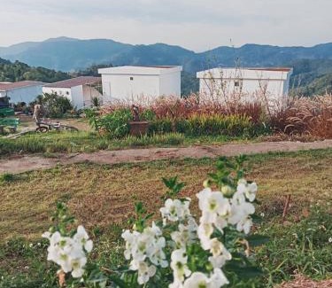 Mae Rim House | ภูศิโยน ม่อนแจ่ม