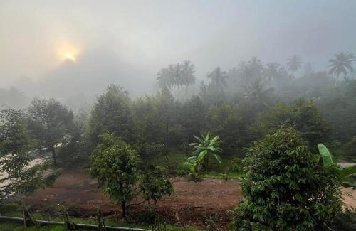 Thong Pha Phum House | มาค่ะ ฟาร์มสเตย์ ห้วยเขย่ง สวนคุณตา สวนทุเรียนทองผาภูมิ