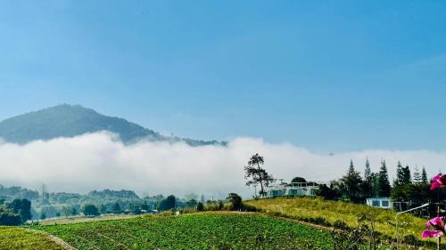 Khao Kho Resort | วงศ์จันทร์กลางหมอก รีสอร์ท เขาค้อ