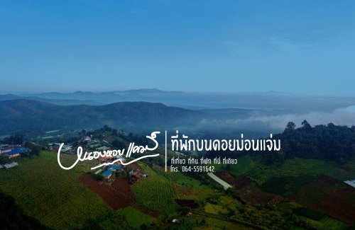 Mae Rim Other | เต็นท์ดูดาว1 แอร์ ม่อนแจ่ม วิวดอยหลวงเชียงดาว