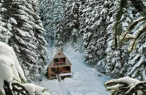 Ambrolauri Ski Chalet | ხის სახლი