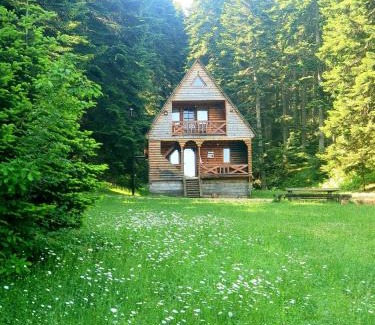Ambrolauri Ski Chalet | ხის სახლი