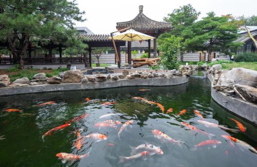 Pingxifu Hotel | 北京水城一瓢私汤度假酒店 Beijing Aqua City YiPiao Hot Spring Resort