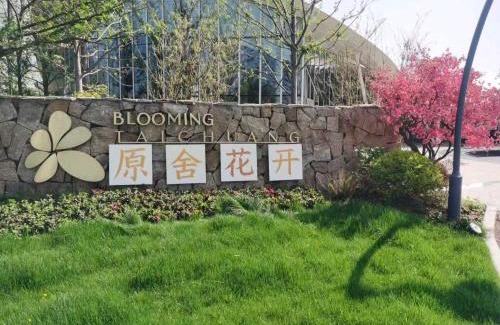 Lujiang House | 原舍花开台创民宿
