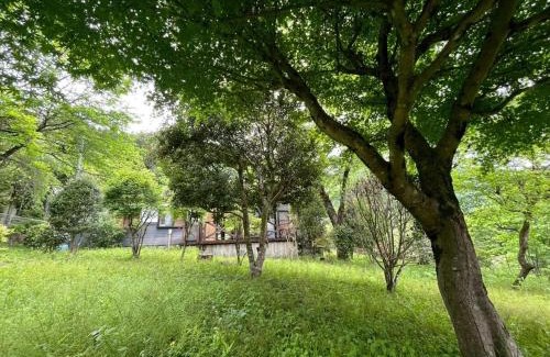 Okutama House | 奥多摩ゲストハウス
