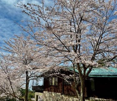 Shodoshima House | 小豆島プライベートキャンプサイト